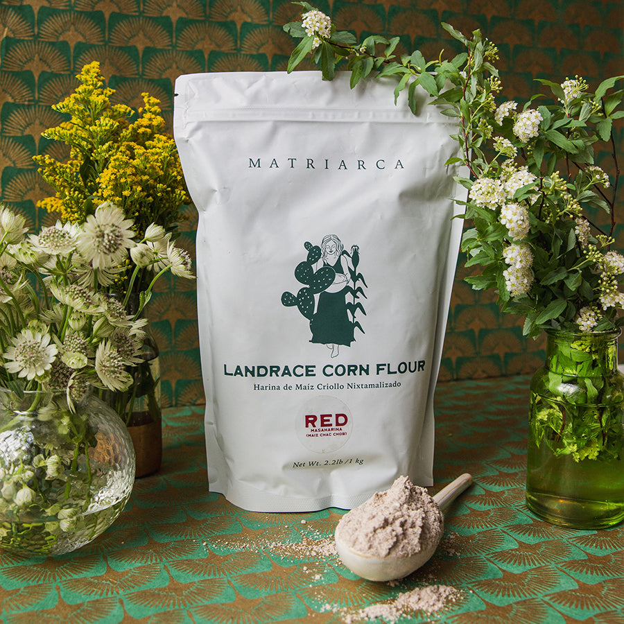 Maíz rojo chac chob Masaharina – Landrace Corn Masa
