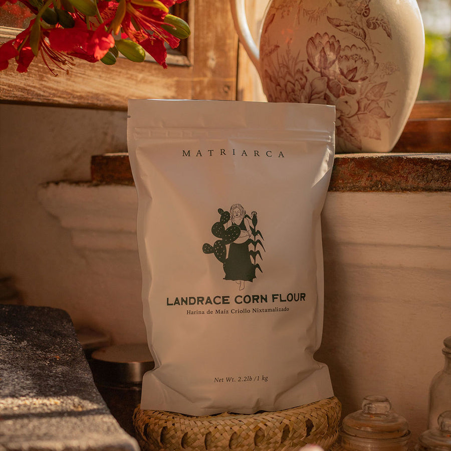 Masaharina – Landrace Corn Masa Flour from Yucatán
