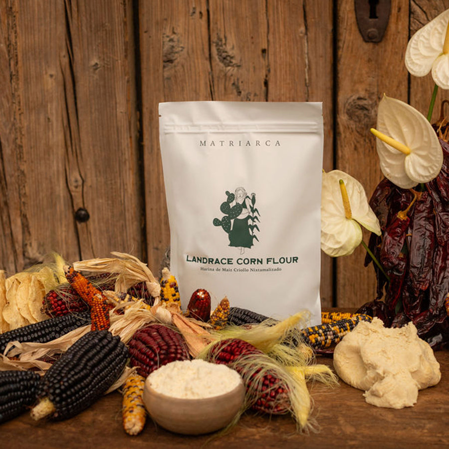 Masaharina – Landrace Corn Masa Flour from Yucatán