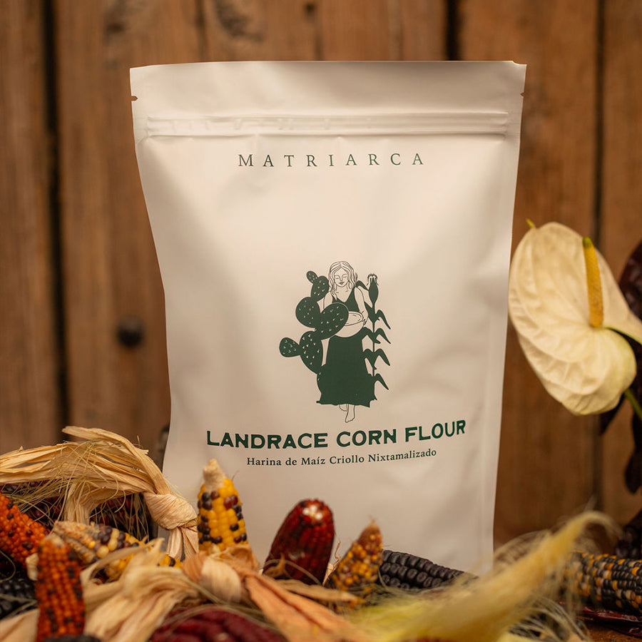 Masaharina – Landrace Corn Masa Flour from Yucatán