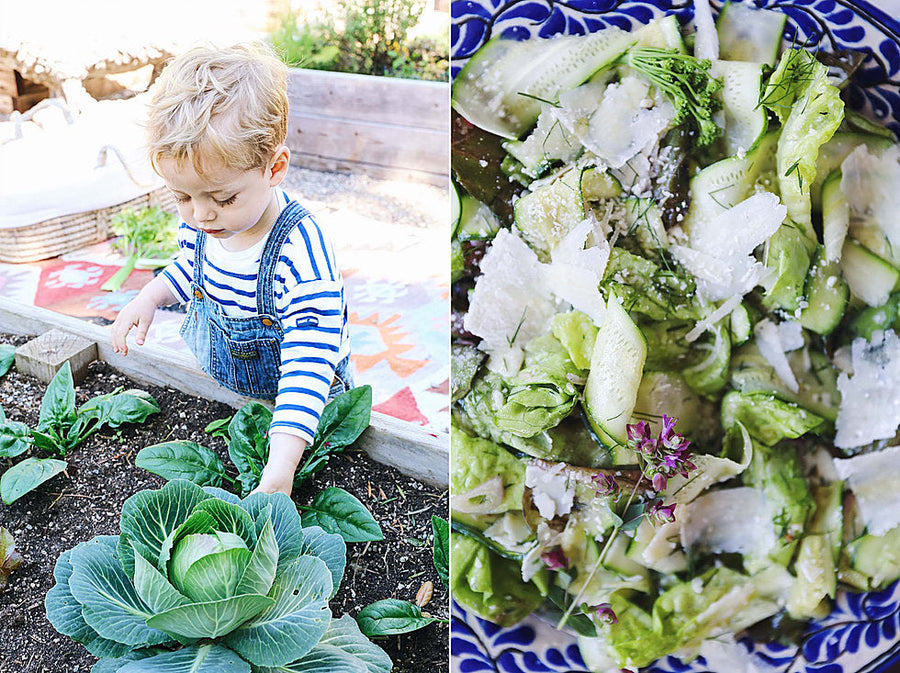 Zucchini and Fennel Garden Salad