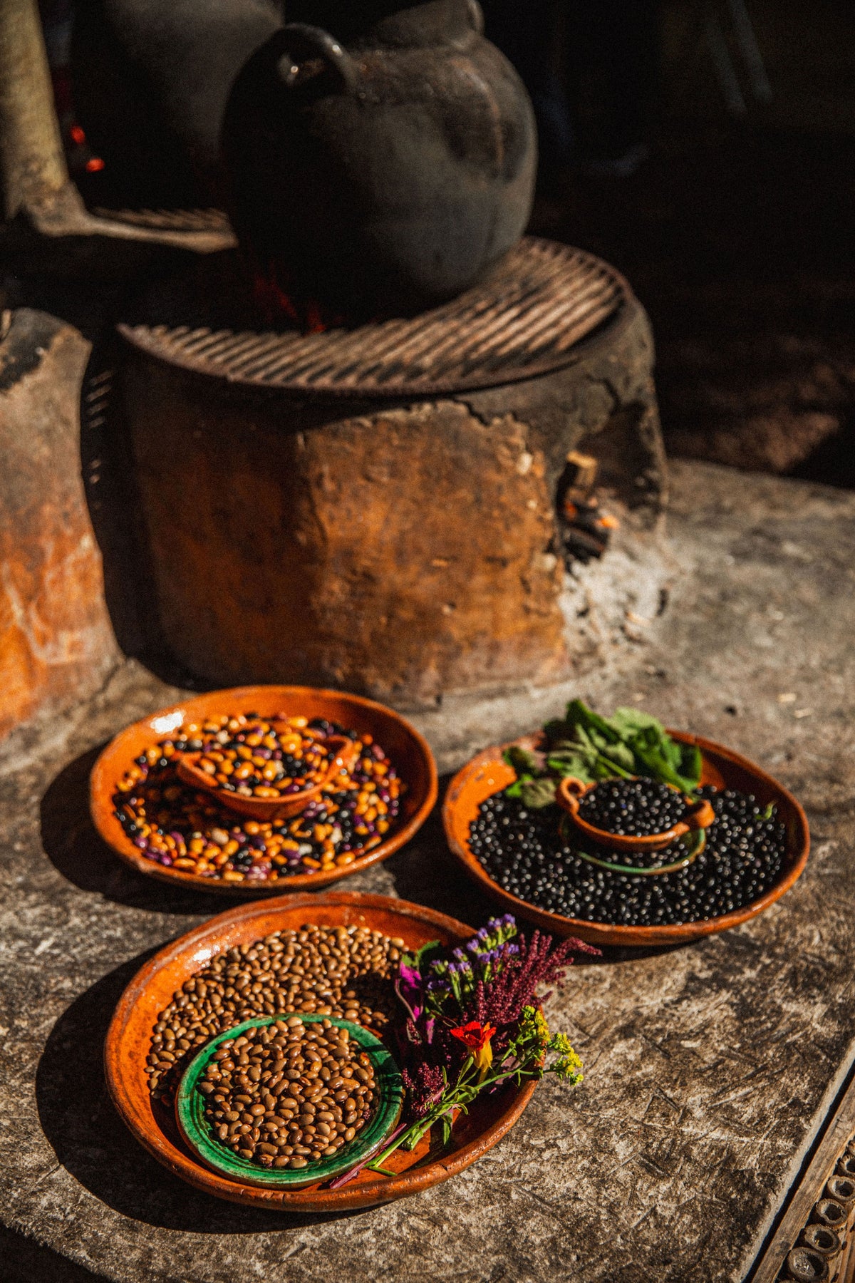 Trio of Heirloom Beans - BAYO•AYOCOTE•NEGRO