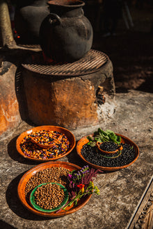 Trio of Heirloom Beans - BAYO•AYOCOTE•NEGRO