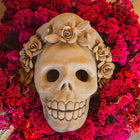 Large Clay Skull