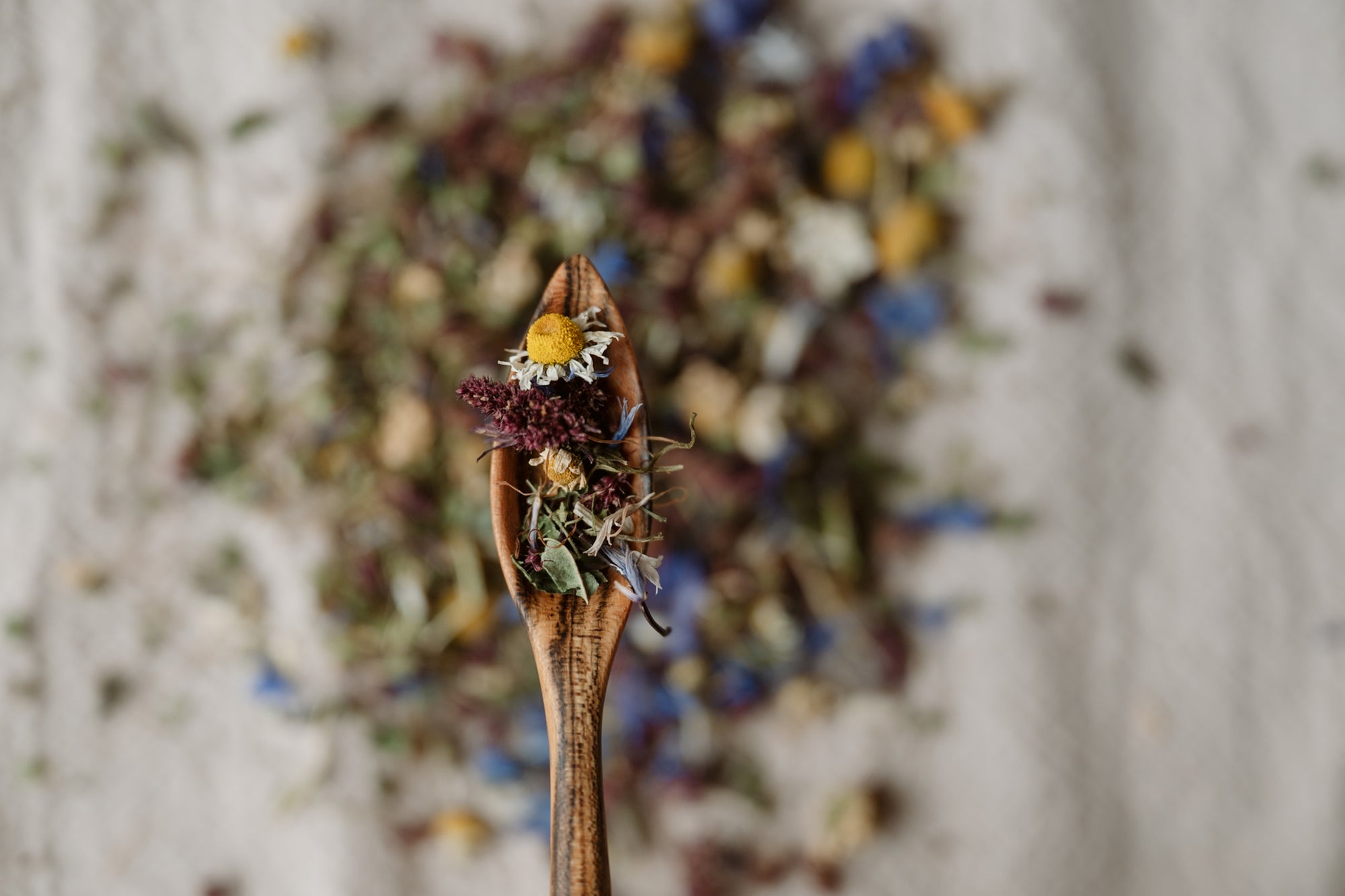 Tonantzin Botanical Tea Blend