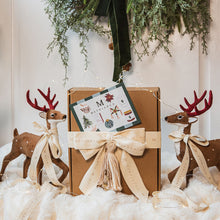 The Navidad Despensa