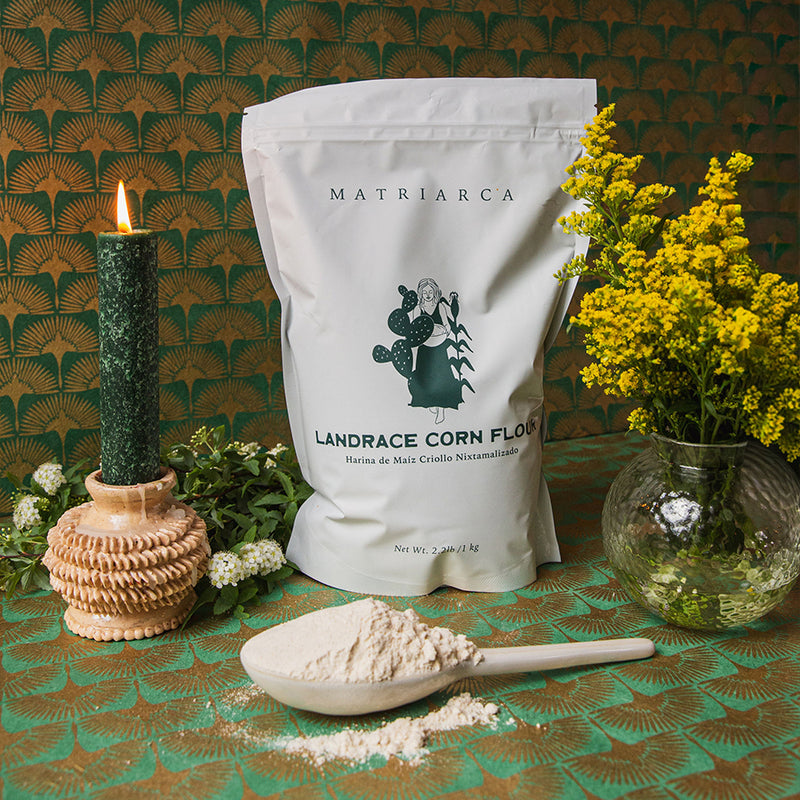 Masaharina – Landrace Corn Masa Flour from Yucatán