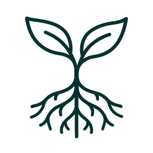 Rooted in México